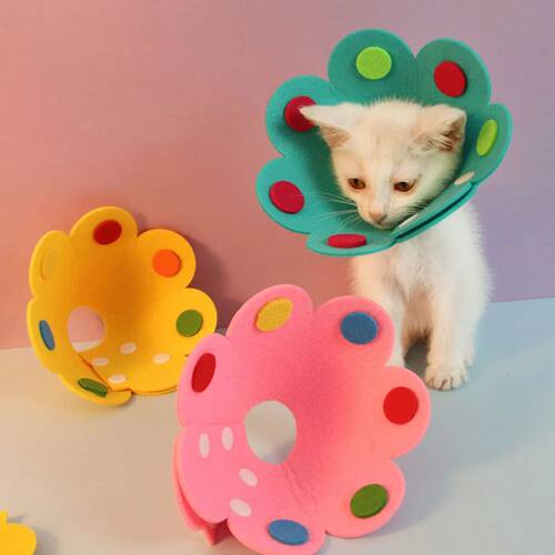 Anti-Bite Anti-Lick Pet Neck Cone: Protective Collar for Dog