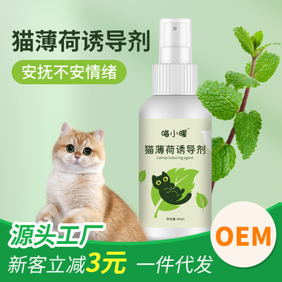 Catnip Spray Cat Toy Inducer Cat Happy Water Cat Spray Catni