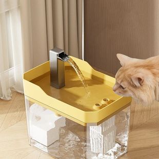 Hot transparent pet water dispenser plug-in automatic water
