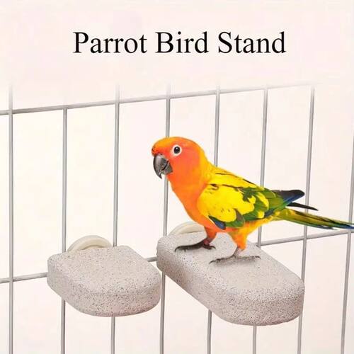 Parrot Bird Stand Claw Grinding Perch High Color Value Safe