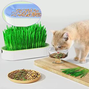 Hydroponic Soilless Set wit – Planting Box Grass Cat Catnip