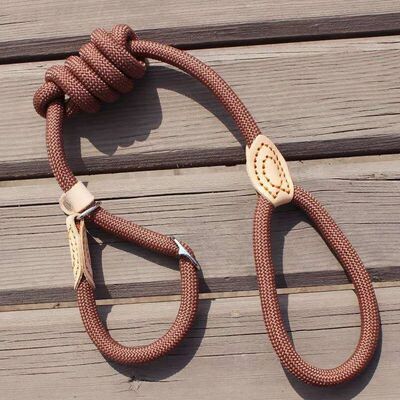 P Chain Dog Leash Slip Collar pet Walking Leads Nylon Dog Mo