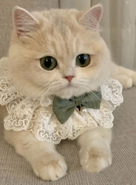 Solar Power Electric Heating Blanket for Winter Pets Warm Pa