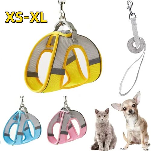 Dog Cat Collar Cat Harness Leash Set for French Bulldog Harn