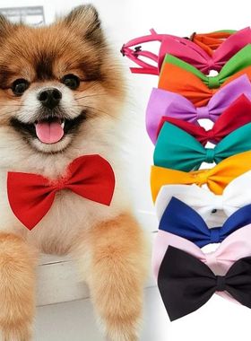 Pet Dog Cat Necklace Strap for Cat Collar Dogs Accessories p