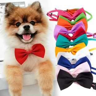 Pet Dog Cat Necklace Strap for Cat Collar Dogs Accessories p