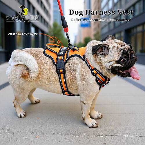 Nylon Dog Harness Vest Reflective Dog Harness Personalized B
