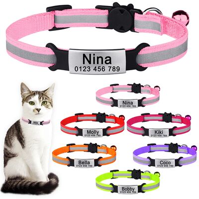 Personalized Customize  Cat Collar Name Fast Breakaway Nylon