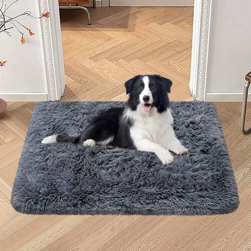 Silk And Wool Carpets Are Soft And Do Not Shed Easily. Pet S