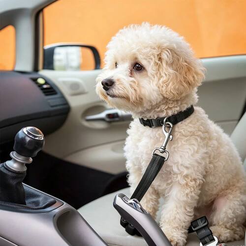 Pet Car Safety Belt Accessories for Dog Supplies Pets Collar