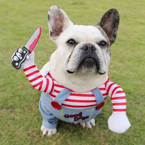 Halloween Dog Costume Funny Pet Clothes Dog Cosplay Apparel