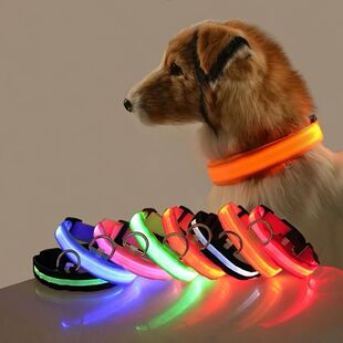 Dark Glow LED Nylon Flashing Safety Leash Dog The Night