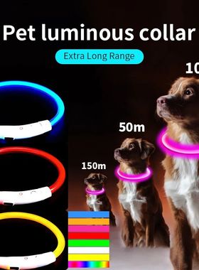 PVC LED Fiber Optic Dog Collar, USB Rechargeable Night Safet