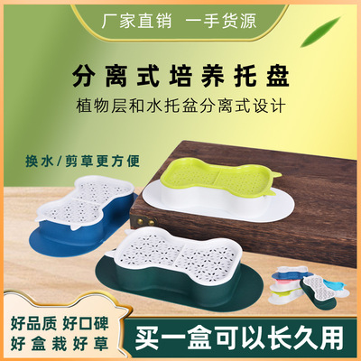 Cat Snacks Catnip Planting Hydroponic Box Catnip Basin Hydro