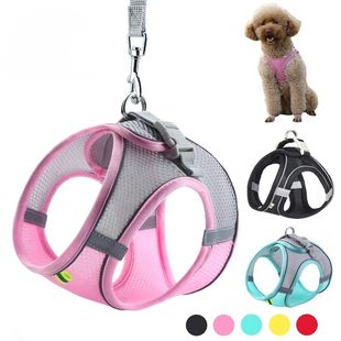 Puppy Harness Set Dog Accessories Pet Vest Dogs French Bulld
