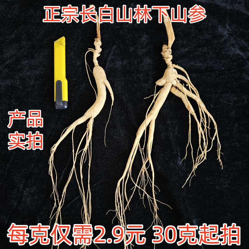 诚奕枫正宗长白山林下参人参野生山参30克起拍泡酒煲汤滋补品人参