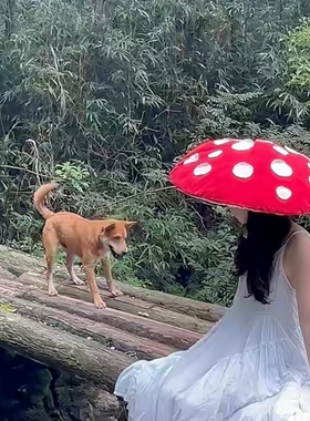 蘑菇帽子小红书菊蒽同款蘑菇帽子蘑菇精拍照神器