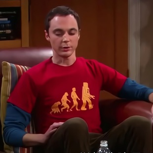 街头服饰极客谢耳朵男装衣服美式重磅青少年人类进化论T恤男短袖