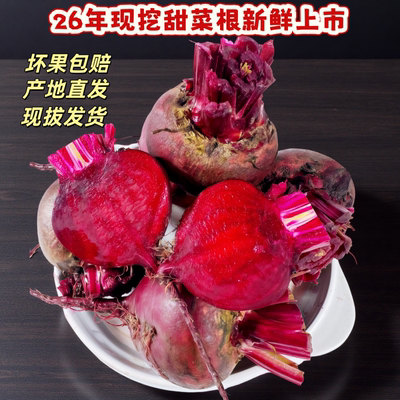 现挖新鲜甜菜根品种好汁多颜色红