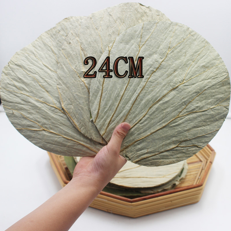 微山湖整张干荷叶切片圆形24cm底