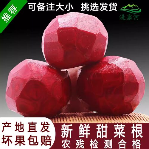 现挖新鲜甜菜根品种好汁多颜色红