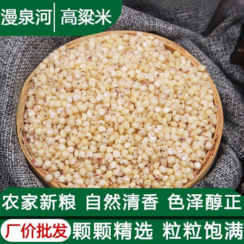 漫泉河当季新米高粱米干净无杂质