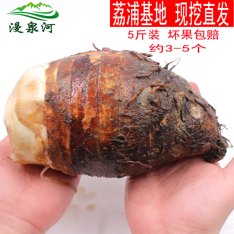 漫泉河 荔浦芋头 5斤装 槟榔香芋 艿毛 新鲜 大鲜芋 蔬菜紫芋包邮