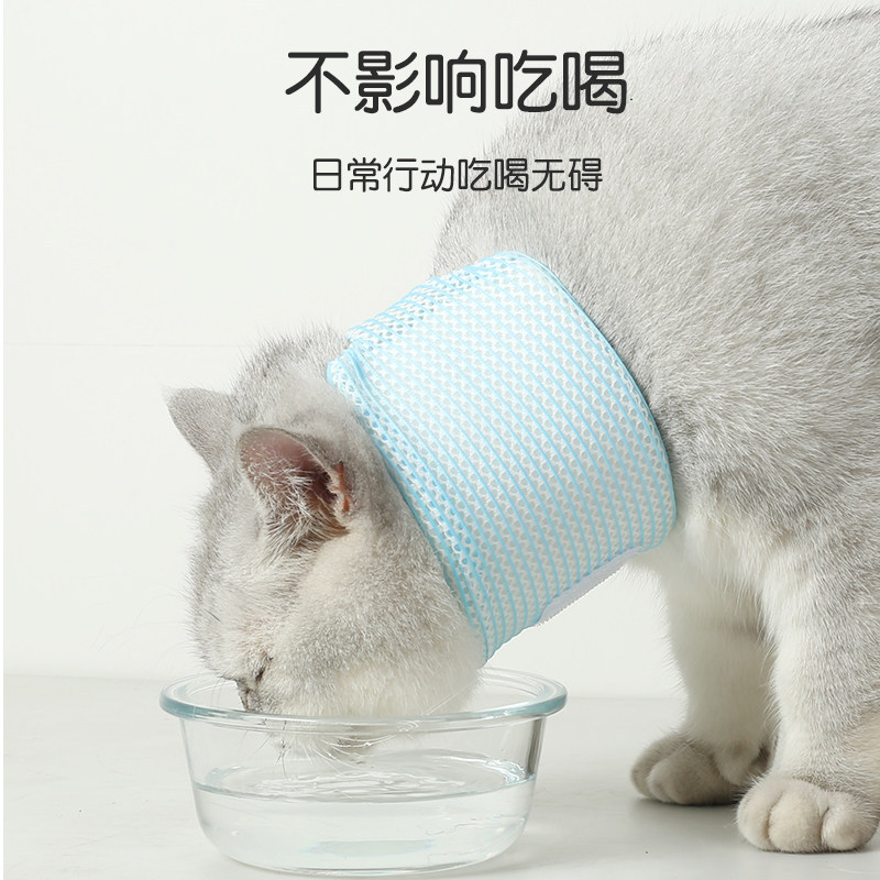 宠物护颈脖圈伊丽莎白圈猫项圈术后防护防舔伤口支撑脖子保护颈椎