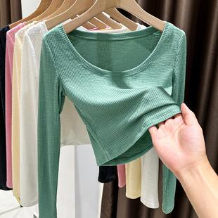 紧身大U领低领长袖 内搭坑条针织短款 薄 女春秋款 竹节棉绿色打底衫