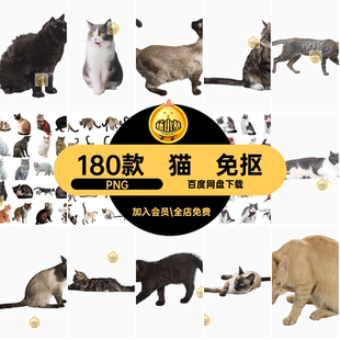 180款小猫透明图片猫宠PNG素材抠宠物猫背景小奶免爱猫咪动