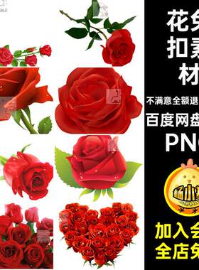 浪漫花束PNG背景200款花免扣素材粉色红色免抠七夕情人节玫