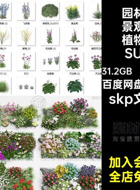 花卉植物SU单体园林景观室外模型花草su260款skp文件组团花镜草花