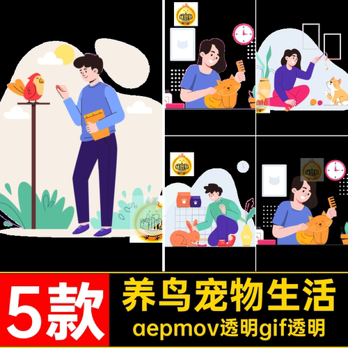 5款MG宠物生活动画养鸟逗猫兔子人物养鱼AE素材源文件透明卡