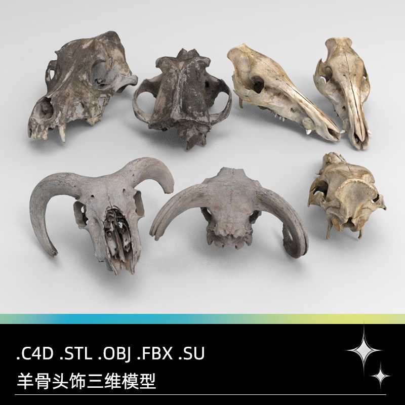 C4D FBX STL OBJ SU Maya动物头骨羊骨装饰摆件墙饰三维模型素材