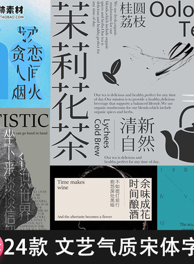 24款中文宋体字体素材PS安装包高级气质古风新中式文艺排版font