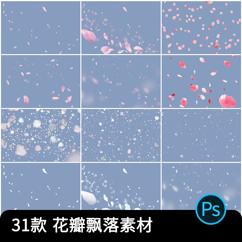 樱花桃花玫瑰花瓣飘落洒落散落摄影影楼背景写真照片合成PSD素材