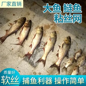 大鱼塑料进口青丝翘嘴挂子鲢鳙