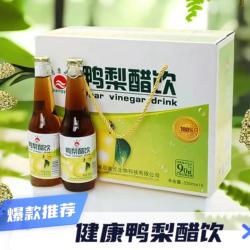 阳信特产启康元鸭梨醋饮料浓缩果汁330ml整箱破损赔付节日礼盒