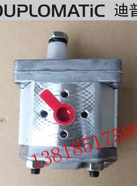 GP30207R97F20N GP30225R97F20N齿轮泵迪普马意大利