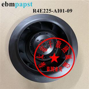 225 全新德国进口R4E225AI0109 45W 230V 威图机柜散热风扇