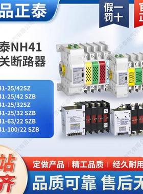 PC级4智能双电源自动2P转换开关断路器NH4125/42SZ二极四相