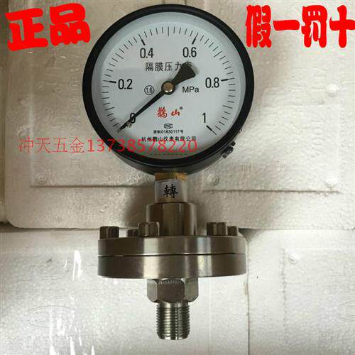 正宗仪表 YML-100 隔膜压力表 0-1MPa  直径100mm