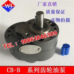 B10 B16 B20 B32 B25 B40齿轮油泵B50
