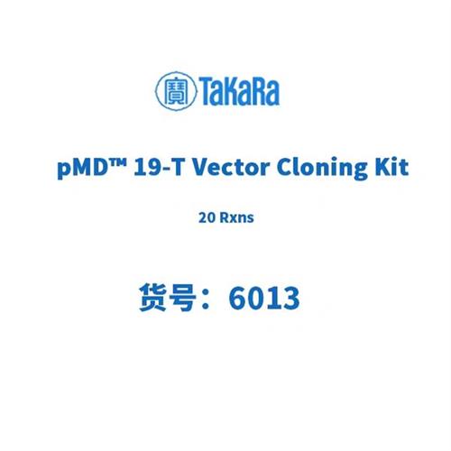 塔克拉 6013 pMD 19T Vector Cloning Kit 20 Rxns