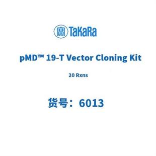 19T Vector Cloning 塔克拉 pMD Kit Rxns 6013