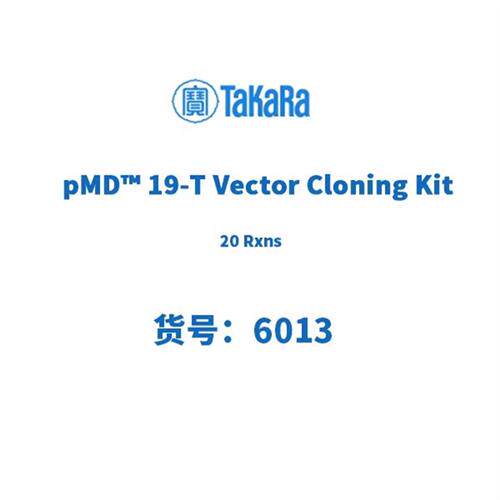 塔克拉  6013 pMD 19T Vector Cloning Kit 20 Rxns