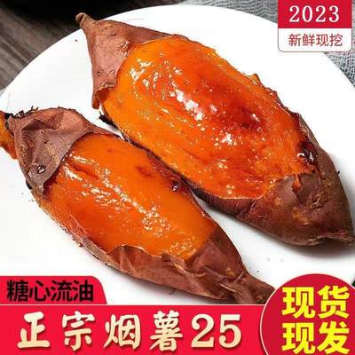 东北瓦房店闫店地瓜烟薯25蜜薯新鲜红薯红苕番薯红心稀瓤8斤包邮