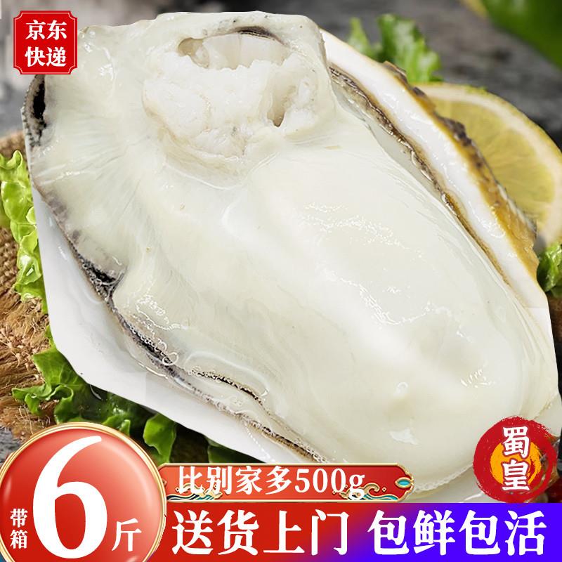 乳山生蚝鲜活6斤特大生蚝肉即食牡蛎贝新鲜海蛎子10海鲜水产一箱-封面