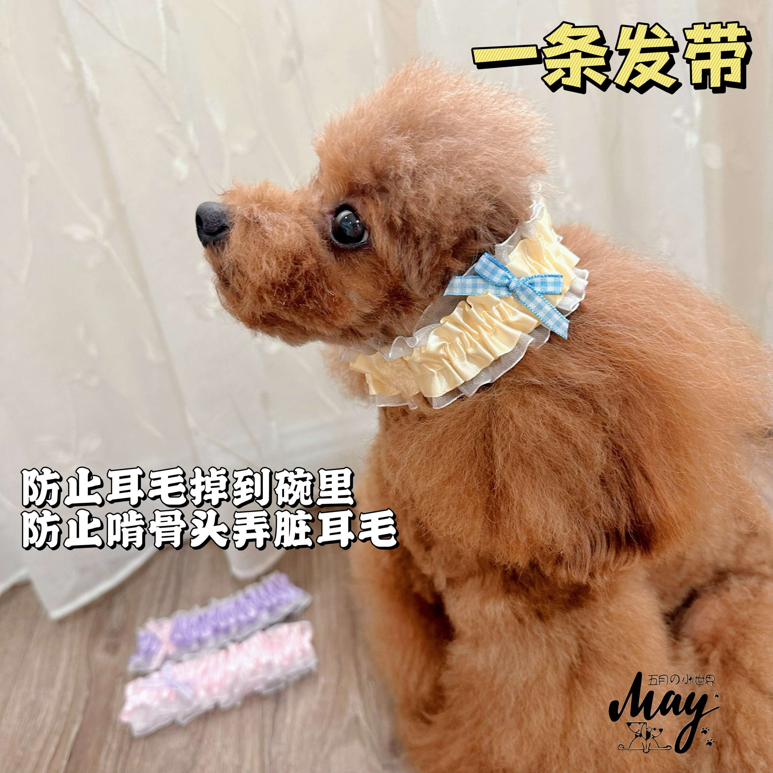 一条防止弄脏耳毛的发带  泰迪比熊狗狗猫咪发带装饰发箍项圈