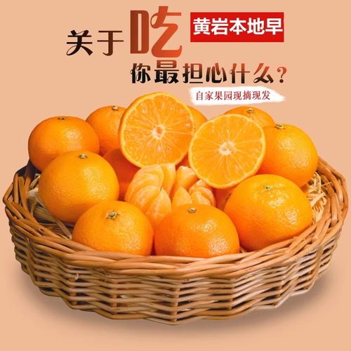 正宗黄岩蜜桔新鲜现摘甜宫川蜜橘本地早当季直发汁多送礼自家桔子